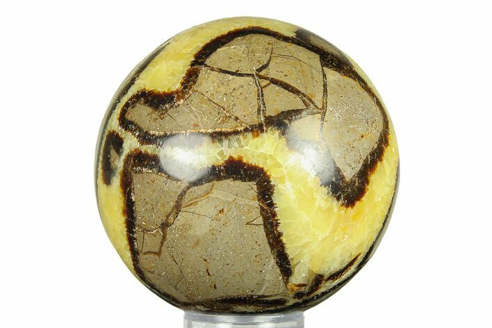 Polished Septarian Sphere - Madagascar #289933